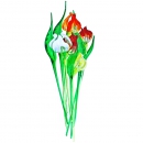 Цветок Тюльпан - вид 3