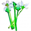 Цветок Нарцисса - вид 3
