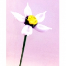Цветок Нарцыс из художественного стекла - Вид 3