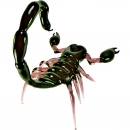 Скорпион сувенир из стекла - Вид 4