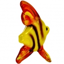 Рыба барбус стеклянная - вид 3