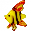 Рыба барбус стеклянная - вид 1