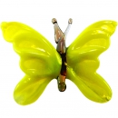 Бабочка желтая - Вид 1