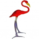 Птица - Фламинго - вид 1