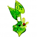 Лягушка на листе с кувшинкой - Вид 1