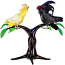 Попугаи какаду на дереве - Вид 4